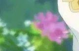 原神3.6妮露值得抽吗 3.6妮露抽取建议