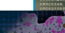 塞尔达传说王国之泪克洛洛面具在哪获得 克洛洛面具怎么获取
