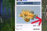 和平精英绿洲世界钓鱼大赛开始时间  绿洲世界钓鱼大赛参加攻略