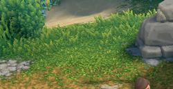 《露玛岛》露玛具体作用介绍