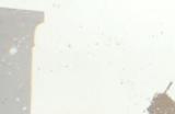 《灵魂面甲》游戏使用储存箱需要注意什么