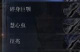 《艾尔登法环：黑夜君临》野排通关思路分享