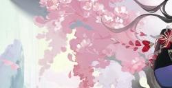 《阴阳师》花合战新皮肤情报 | 繁樱弥散，妄言以噬