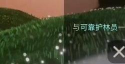 光遇按向导拍摄六张照片任务攻略 按向导拍摄六张照片任务怎么完成