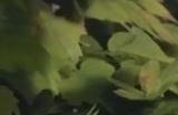 开放世界换装游戏《无限暖暖》预告 今年第三季度开测