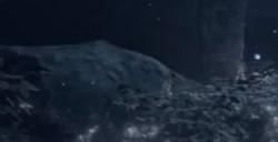 《艾尔登法环》dlc死亡仪式鸟在哪