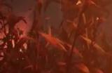 恐怖游戏《Harvest Hunt》正式预告 5月24日正式发售