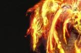 《艾尔登法环》癫火是否适合仿身泪滴介绍