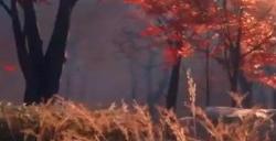 “太刀虾”狂喜 《羊蹄山之魂》制作人讲述武器设计理念