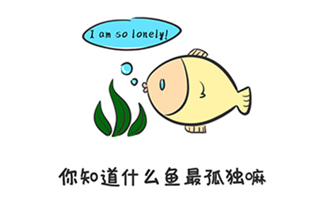 谐音梗挑战第19关攻略  你知道什么鱼最孤独嘛