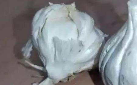 印度街头出现假大蒜：由水泥制成 与真蒜混合出售