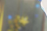 《崩坏星穹铁道》希露瓦值得培养吗 希露瓦强度介绍及全面养成攻略