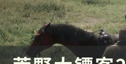 《荒野大镖客2》劈砍短斧位置在哪 劈砍短斧位置详情