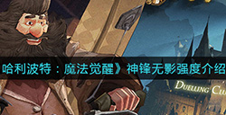 哈利波特魔法觉醒神锋无影怎么样  神锋无影强度介绍