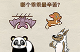 超级烧‪脑第6关攻略  哪个乖乖最辛苦