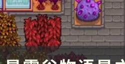 《星露谷物语》星之果实怎么获得 星之果实全收集方法介绍