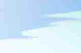 温馨治愈探索模拟游戏《小生物咖啡馆》现已正式推出 获得好评