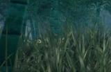 《下一站江湖2》水贼肆虐奇遇怎么解谜