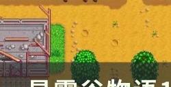 《星露谷物语》1.6农场怎么布局 1.6全农场布局分享