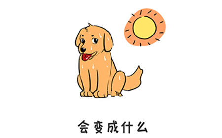 谐音梗挑战第10关攻略  会变成什么