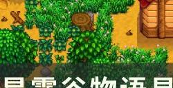 《星露谷物语》易错过献祭物品详情 易错过献祭物品一览
