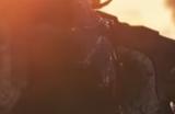 《战锤40K：星际战士2》虫族敌人特点介绍