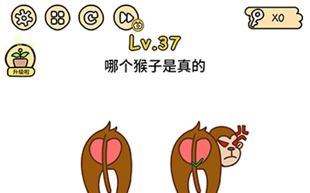 脑洞大大大第37关攻略  哪个猴子是真的