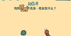 脑力黑洞第9关攻略  狗狗不洗澡他会生什么