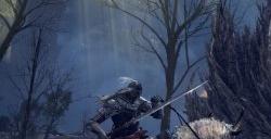 艾尔登法环为什么叫老头环 老头环名称介绍