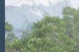 《北方之魂 2》Steam页面上线 发售日待定