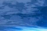 《雨中冒险2》多面手装备优先级攻略