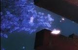 尽管被致敬但任天堂并未对《幻兽帕鲁》发出投诉