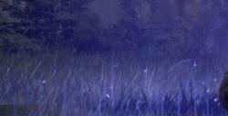 艾尔登法环灵庙原野的废墟在哪 灵庙宙原野的废墟流程攻略