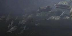 《黑神话：悟空》火铃草怎么获得