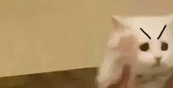 赏金猎人玩法将上线，拉格朗日要实现共同富裕？
