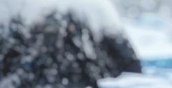 ff14远程魔法职业黑话都有哪些 ff14法系常用黑话一览