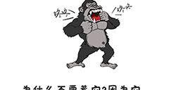 谐音梗挑战第21关攻略  为什么不要惹它