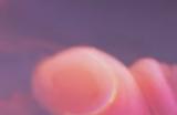 《Apex英雄》电能冲锋枪有什么特点