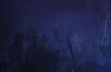 《艾尔登法环：黑夜君临》2025年2月举行主机网络测试 支持单人游玩