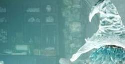 艾尔登法环封印魔女的废墟在哪 封印魔女的废墟流程图文攻略