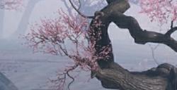 江湖路感恩同行，《射雕》2.0焕新盛典邀你共赴！
