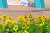 和平精英花圃在哪里 和平精英花圃有什么用