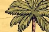 《饥荒海难》椰子树作用介绍