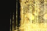 《艾尔登法环》黄金树恩惠是否适合仿身泪滴介绍