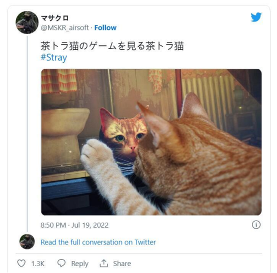 拿起北通宙斯游戏手柄化身赛博小猫咪 萌宠神作迷失值得一玩678.png