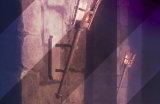 《幻兽帕鲁》爆火后 发行商已在国内注册多个商标