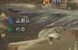 《怪物猎人：荒野》小虫子捕获流程介绍