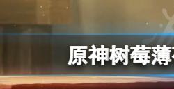 原神树莓薄荷饮在哪买  树莓薄荷饮购买位置介绍