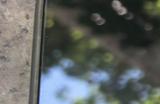 iPhone 16 Pro Max只要3800元 女子差点买了个模型