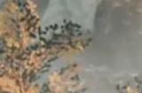 《绝地潜兵2》Steam开局强劲 创下索尼PC移植游戏同时在线峰值新记录